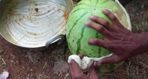 云南吃瓜事件网红艾滋,网红艾滋争议引发社会关注与反思